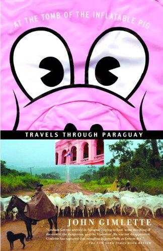 travel south america book